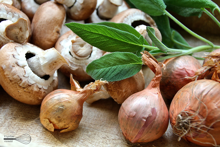 vispilän_viemää_salviakanapata1