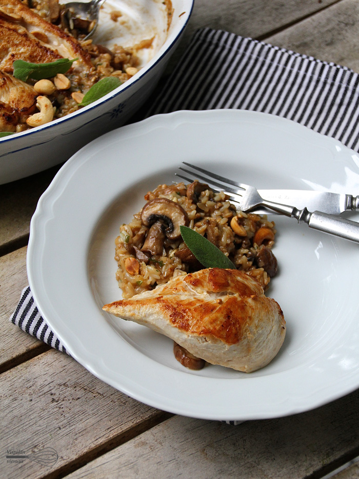 vispilän_viemää_salviakanapata2