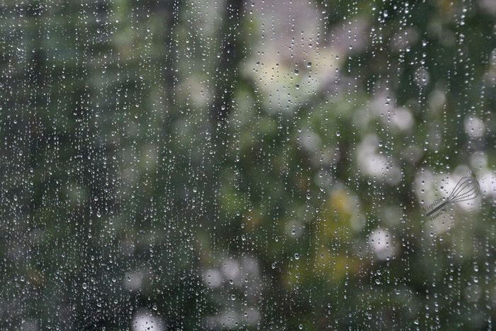 vispilän_viemää_salviakanapata5