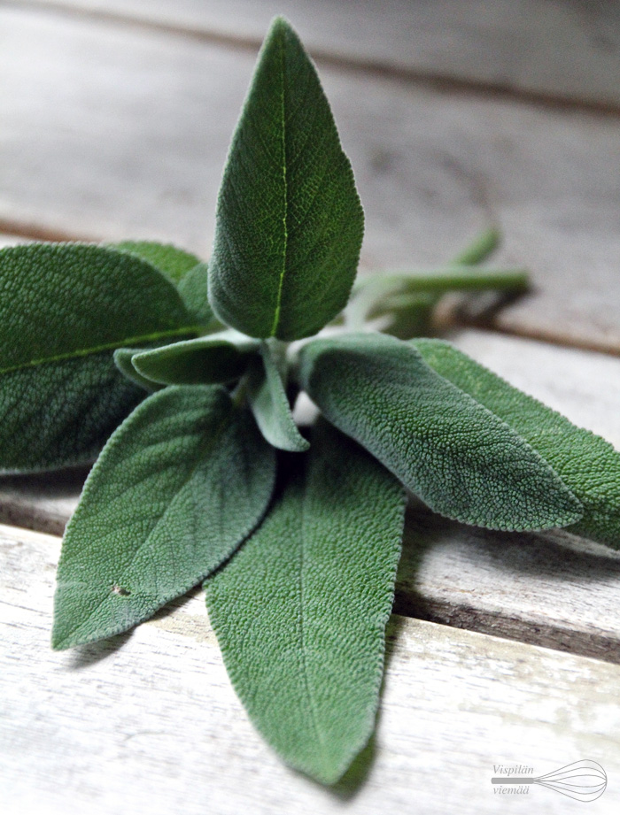 vispilanviemaa_omenaiset_porsaankyljykset3