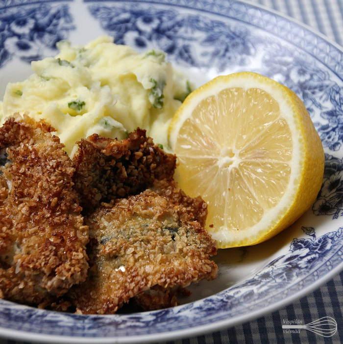 vispilanviemaa_silakat_kaurassa