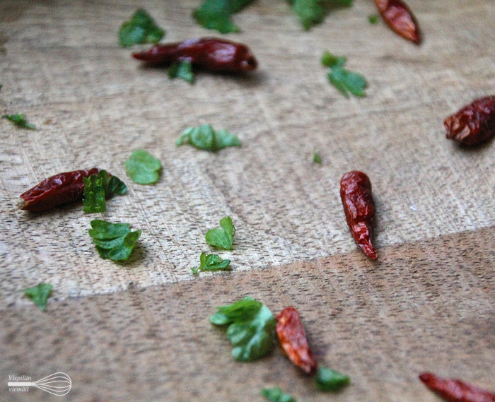 vispilanviemaa_gulassi3