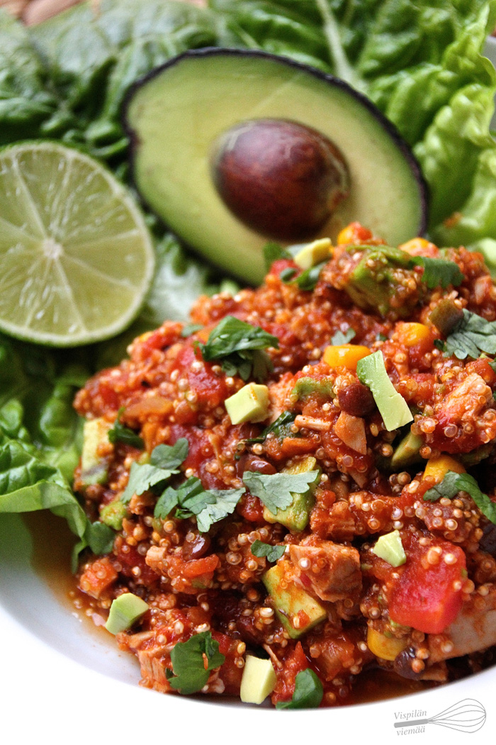 vispilanviemaa_yhdenpadanmeksikolainen2