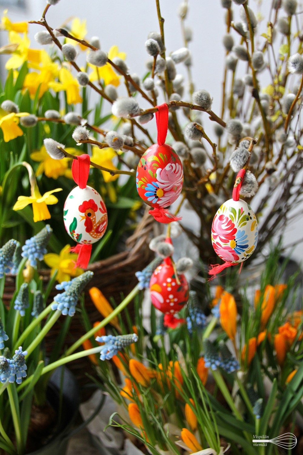 vispilanviemaa_juustokakkulasissa5