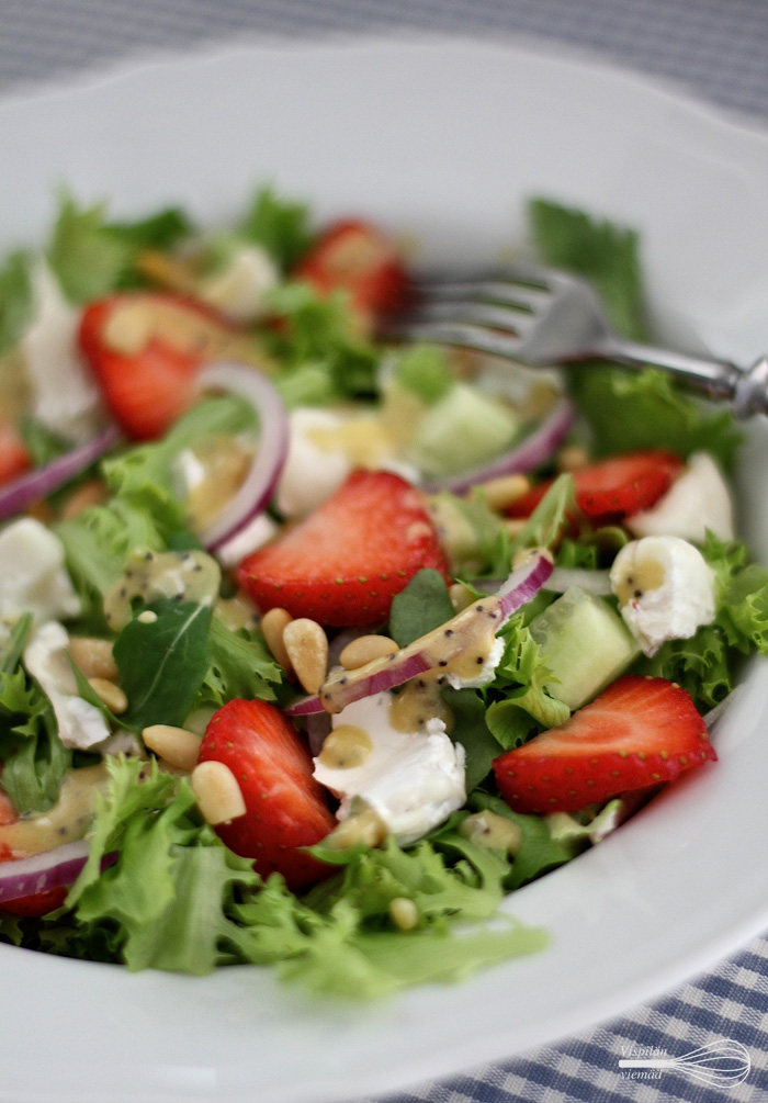 vispilanviemaa_mansikkasalaatti_raparperikastike