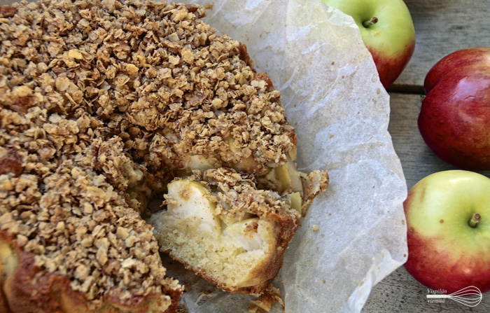 vispilanviemaa_omenakaurakakku1