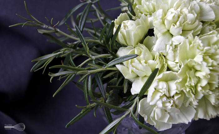 vispilanviemaa_minipavlovat3