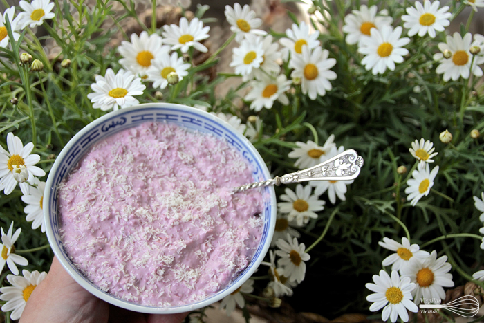 vispilanviemaa_puolukkakookostuorepuuro1