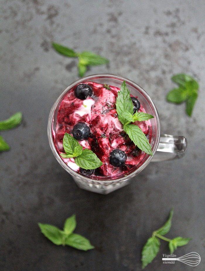 vispilänviemää_mustikkakiisseli_sitruunajogurtti1