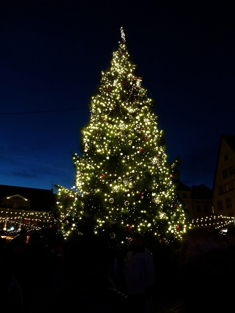 vispila%cc%88nviema%cc%88a%cc%88_tallinnantuliaiset1