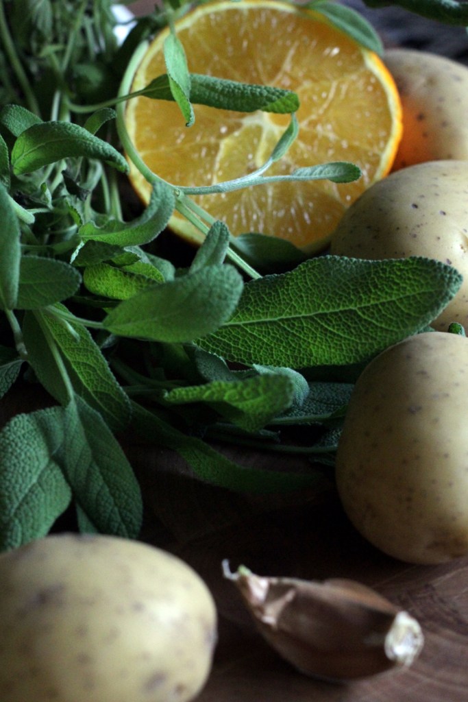 vispila%cc%88nviema%cc%88a%cc%88_appelsiinisalviaperunat1